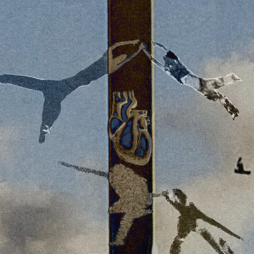 Part 3. human digger