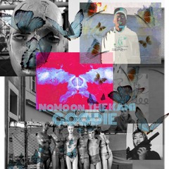VIBE - NoMoon, THE KAMI ft. GOODIE (m.m GOODIE , prod Jacob Lanthel Beats)