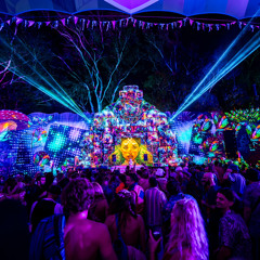Live @ Mushroom Valley Festival 2024