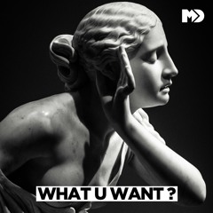 Music P & Marque Aurel - What U Want