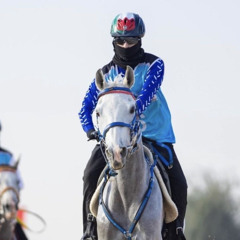 Seeh al salam