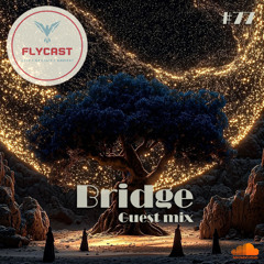 Flycast #77 | Bridge