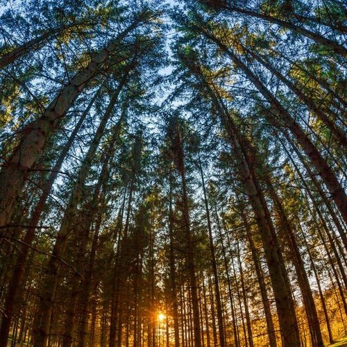 Reformer Mixes (Deep Grounding & Ethereal)