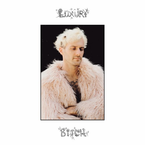 Secret Shame - Luxury Bitch