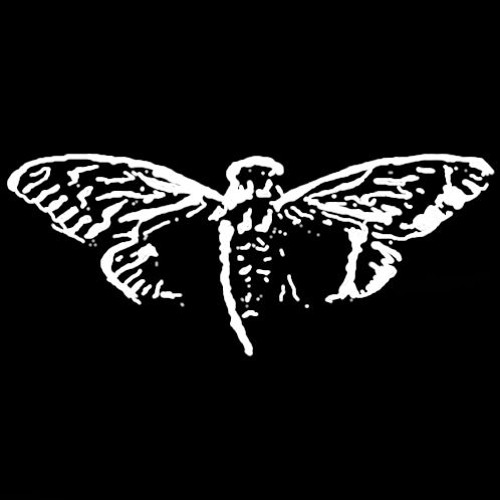 Cicada 3301