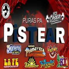 Puras Pa Pistear 🤠 Del recuerdo Dj Spider (echo en el 2022)