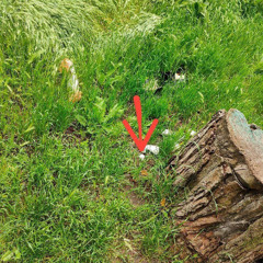 Синдром восьмиклассника - керосин по моим венам(cover)