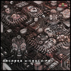Psyroot - Eternal Iterations