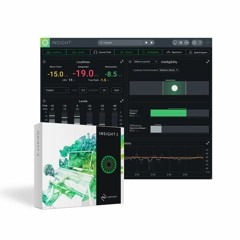 Enhance Your Audio Mastery with iZotope Insight 2 (Windows) - Download Now!