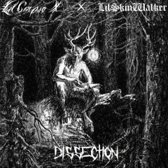 Lil Corpse X x LilSkinWalker- Dissection (prod. NUG)