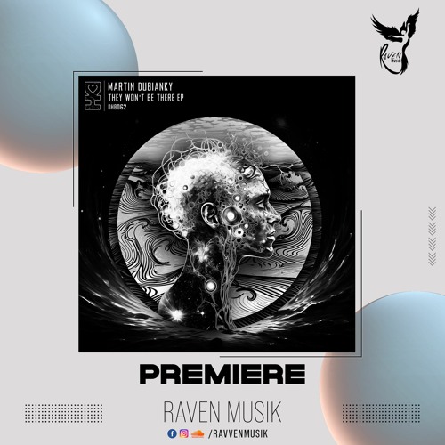 PREMIERE: Martin Dubiansky - Arritmia (Analog Context Remix) [Desert Heart Black]