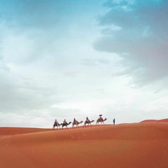 10 Interesting Facts About The Sahara Desert: Here’s What You Need To Know
