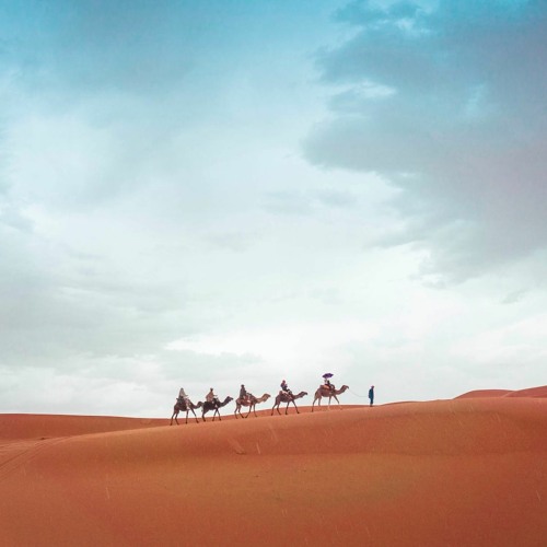 10 Interesting Facts About The Sahara Desert: Here’s What You Need To Know