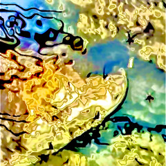 arsiero