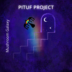 Mushroom Galaxy - Mastering Final