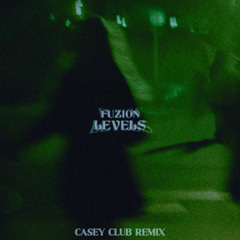 LEVELS (Casey Club Remix)