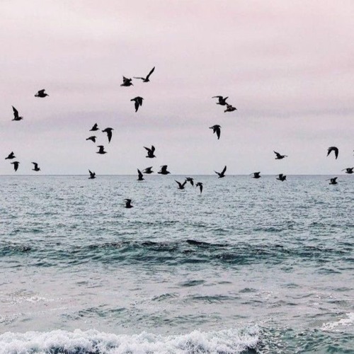 a cover of "tek it" by cafune