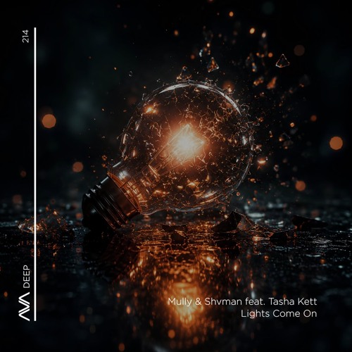 AVAD214 - Mully & Shvman feat. Tasha Kett - Lights Come On