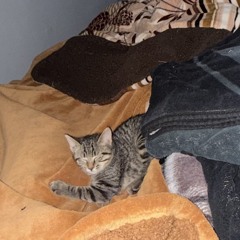 ><LANDR>< LexasGats//Eeryskies\\mp3