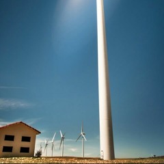 سورة البينة | منصور السالمي