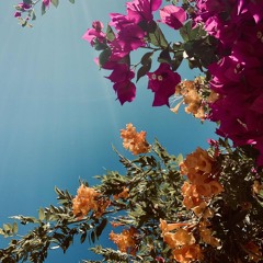 There’s Something in Those Waves.wav