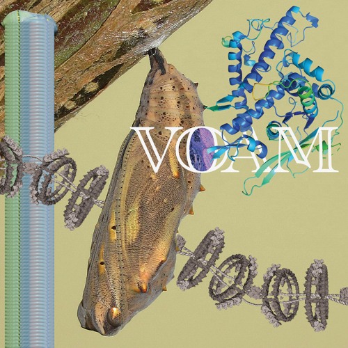 Pariah - Caterpillar (VOAM009)