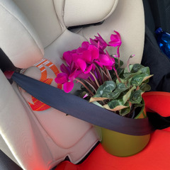 crying after finally turning off the wi-fi