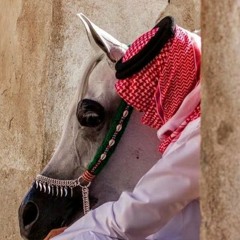 لامية العجم - الطغرائي