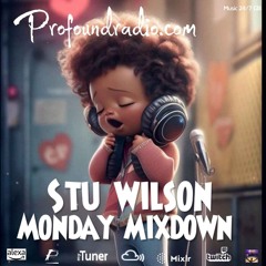 #242 Profound Radio Progressive House @djstuwilson