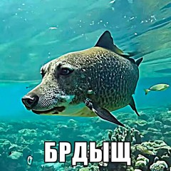 это похоже на гей секс