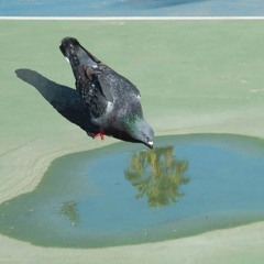 les vérités - Mr.M Beats