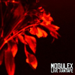 Morihikiko - Los niños del parque (liasons dangereuses) - live -