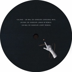 CAlinie - Un Mal De Ganduri (Original Mix) Snippet