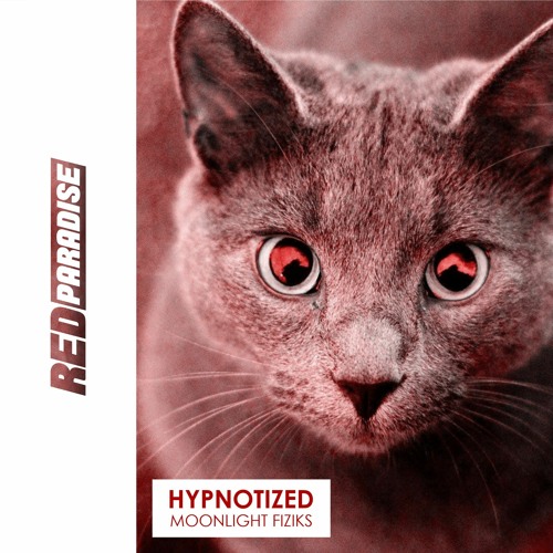 Moonlight Fiziks - Hypnotized (Original Mix)