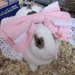 Андрей Губин — как же так