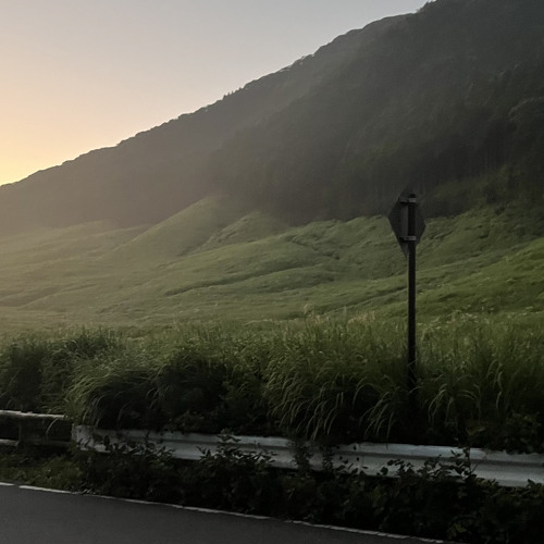 Xsisu - ain’t here