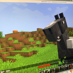 neklausai, nesigaudai