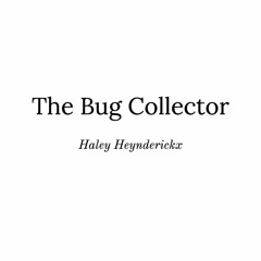 The Bug Collector (Haley Heynderickx)