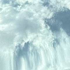 오아시스 240905