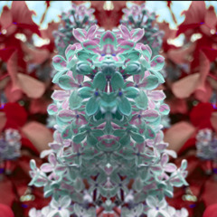 I know love w/vistuh