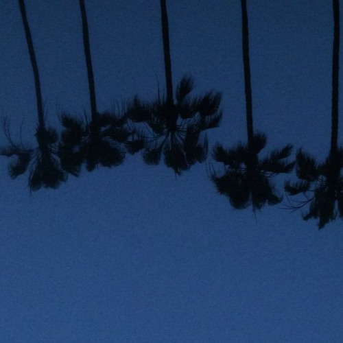 neverlast (prod. makcbeatz)