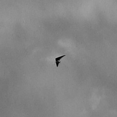 The Other Side (feat. sDulzz) [prod. all we left unsaid]