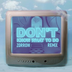 ချမ်းမြေ့မောင်ချို - DON'T KNOW WHAT TO DO (ZORROW REMIX)