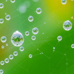 practice23~Raindrops~