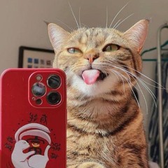 REDBULL IN  FUNKOT BEST REQUEST BOSS RAMONK