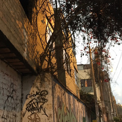 Luv4eva - Lessandrito