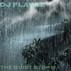 The Signature Series Vol 10: The Quiet Storm