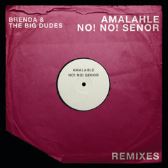 Stream Brenda & The Big Dudes | Listen to Amalahle playlist online for free  on SoundCloud