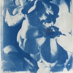 #185