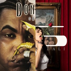 Salió El Sol / N5 - Don Omar x Lali (Mashup)